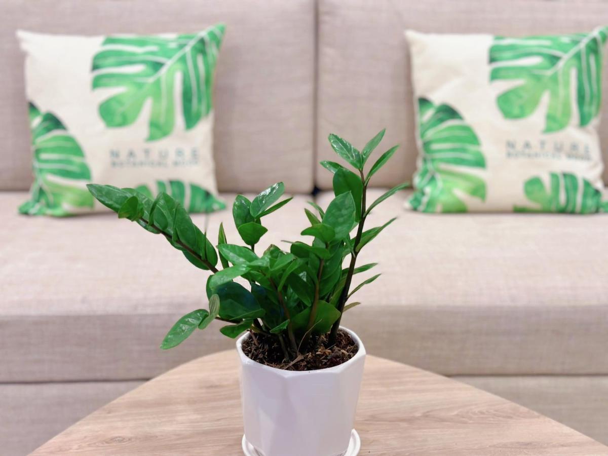 Homeaway - The Song Apartment 3Brs Lux Condotel Vũng Tàu Ngoại thất bức ảnh